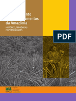 Desmatamento Nos Assentamentos Da Amazônia PDF