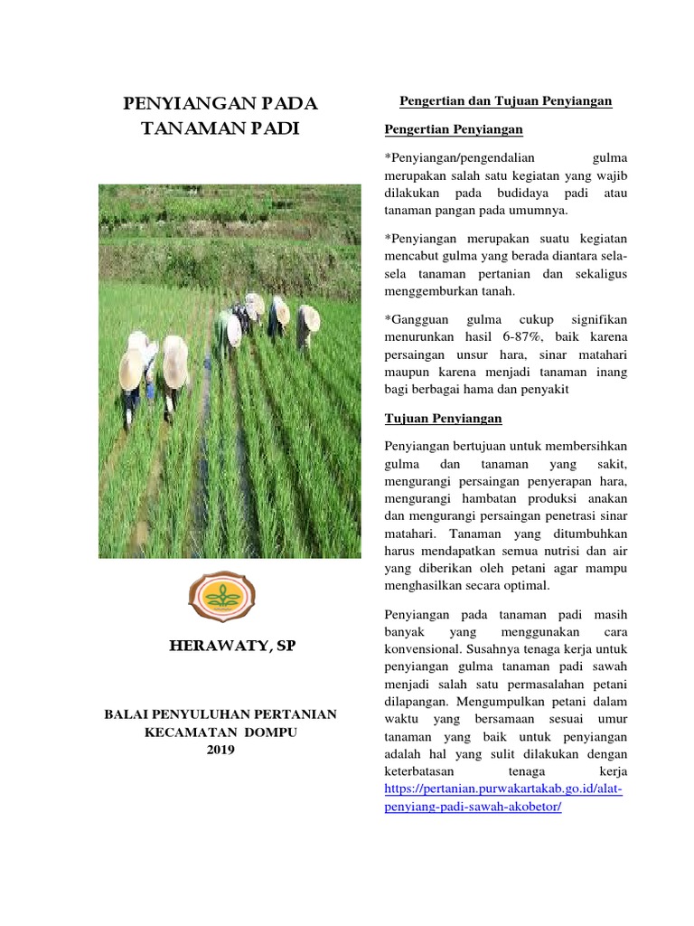 2019 Penyiangan Pada Tanaman Padi Pdf
