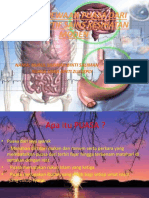 PUASA DAN KESIHATAN MODEN