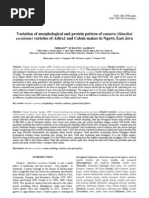 Download N020103 by Biodiversitas etc SN44992499 doc pdf