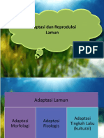 Adaptasi Dan Reproduksi Lamun