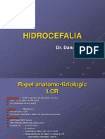 CURS 06.3-Hidrocefalia (Varianta LB romana-ASEMANATOARE)