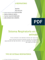 Sistema Respiratorio en Los Animales MVZ