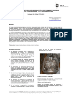 Resumen Ejecutivo - 047-FINCyT-PITEI-2010 .pdf