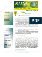 exportacion de piña.pdf