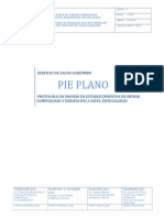 PIE PLANO (2).doc
