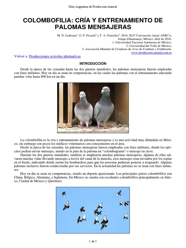 14 Colombofilia PDF