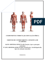 Sistema Muscular 8º e 9º Ano