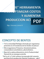 Bentos Herramienta para Optimizar costos.pdf