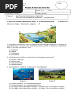 Prueba de Ciencias Naturales Adaptaciones