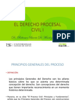 CLASE 2 PRINCIPIOS FUNDAMENTALES DEL DERECHO PROCESAL Y DEL PROCEDIMIENTO