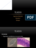 5.1 Tejidos.pdf
