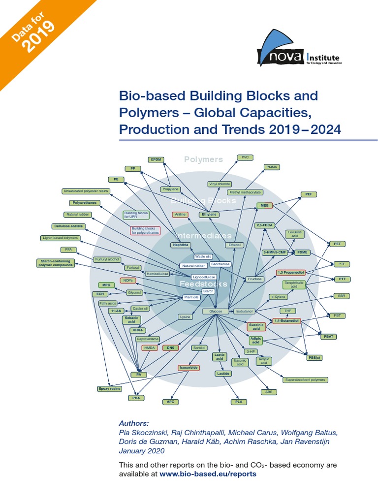 20 01 23 Bio Based Building Blocks and Polymers Preview PDF | PDF