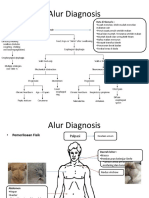 Alur Diagnosis Onko