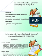 Pcga Niif PDF