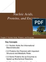 Ch03 Lecture Nucleic Acids  Proteins and Enzymes.ppt