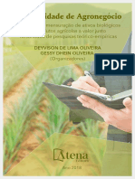 E-book-Contabilidade-do-Agronegócio.pdf