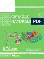 01 Ciencias Naturales - 6 - EGB - Cuaderno Trabajo PDF