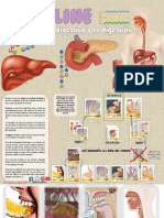 Juego de La Digestion PDF