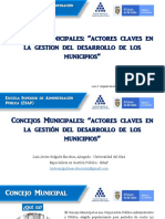 CONCEJOS MUNICIPALES. Formato PDF