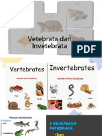 Vetebrata dan Invetebrata.pptx