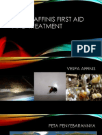 Vespa Affinis First Aid