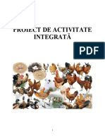 PASARI DE CURTE - Proiect Didactic