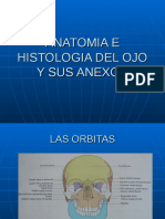 Anatomia del Ojo y sus Anexos