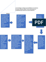 PROCEDIMIENTO