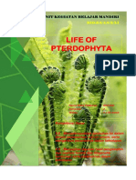 LIFE OF PTERIDOPHYTA