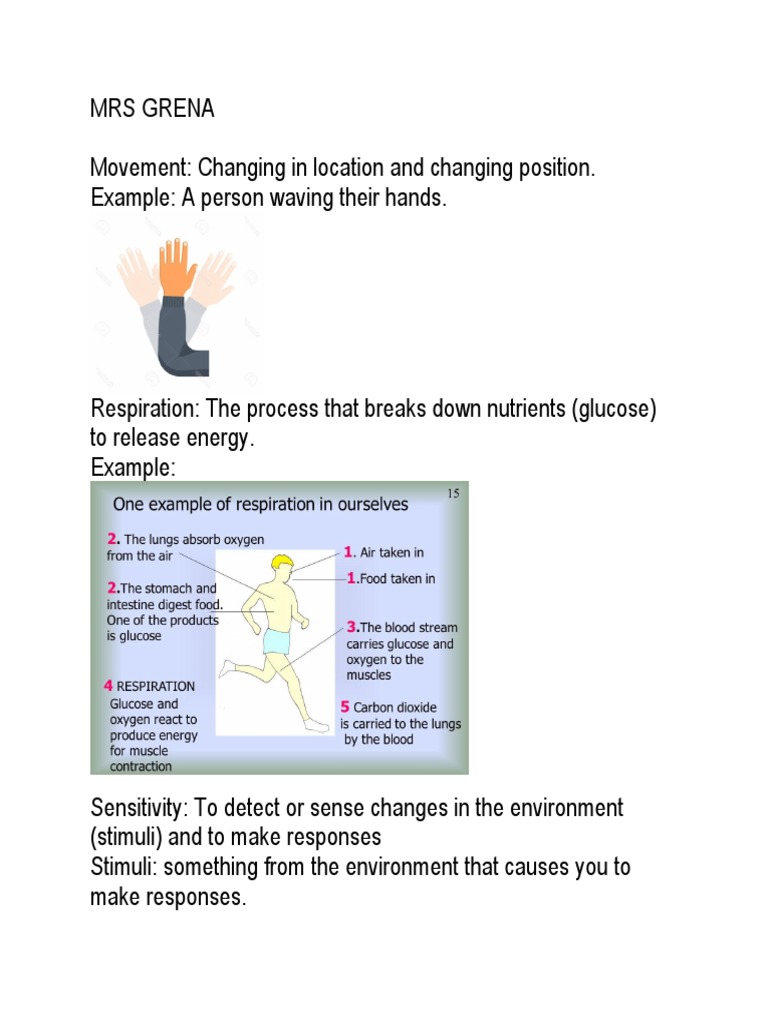 Understanding MRS GREN Concepts | PDF