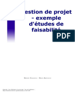 gestion de projet exemple de faisabilité.pdf