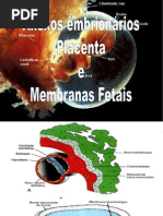 Anexos+embrionários2009