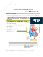 Diseccion de Corazon