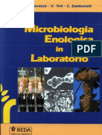 Microbiologia Enologica in Laboratorio by Agostino Cavazza Vincenzo Tini Carlo Zambonelli