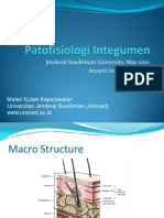 Patofisiologi Integumen PDF