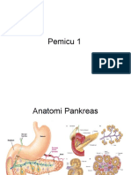 UNTUK ANATOMI PANKREAS