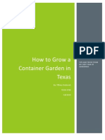How To Grow A Container Garden in Texas