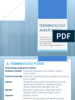 TERMINOLOGI ANATOMICA Drnasid