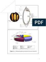 1 - Parbolizado PDF