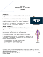 Controlando El Colesterol PDF