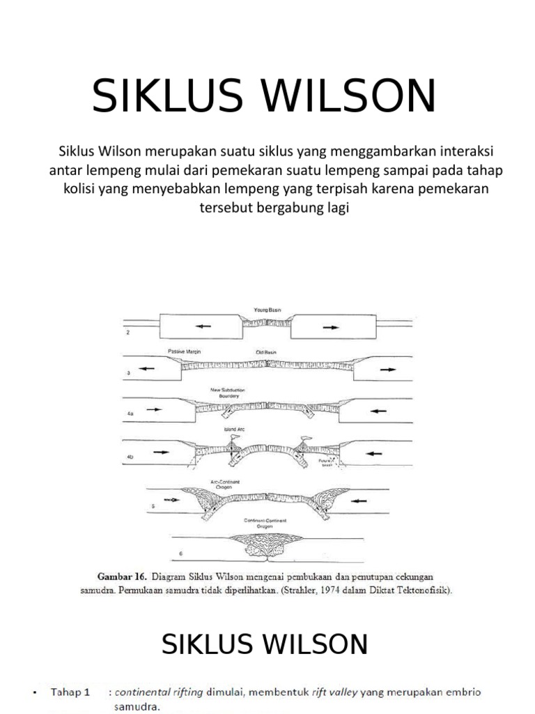 Siklus Wilson | PDF | Seni