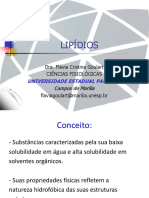 lipidios_introdução.pdf