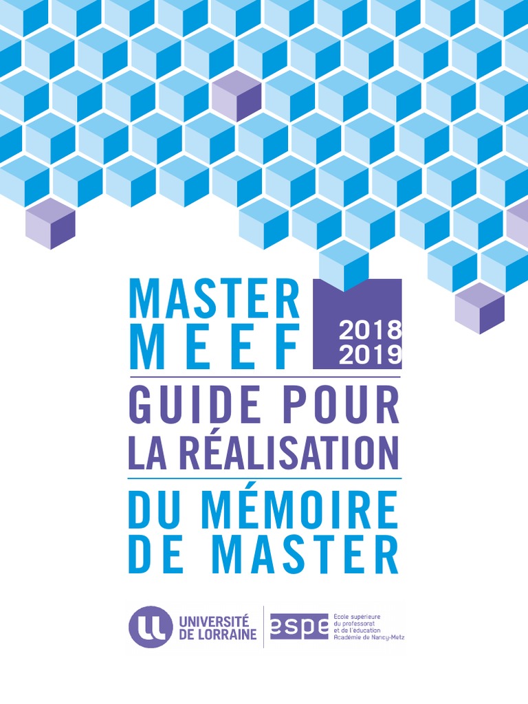 18 19 Guide Memoire Master MEEF