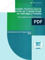 principales_modelos LIBRO VERDE.pdf
