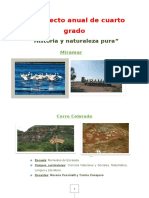 Proyecto Anual de Cuarto Grado 2020