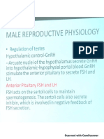 Repro Physio Doc Meysam Feb 20 - 20200220150131