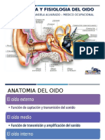 Capa. Anatomia y Fisiologia Del Oido Humano