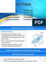 Protozoa Hidup dan Peranannya