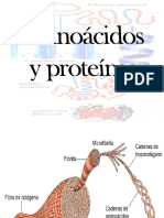 1-Aminoacidos y proteinas_I_2017_2